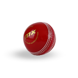 Incrediball Cricket Ball - MatrixSports